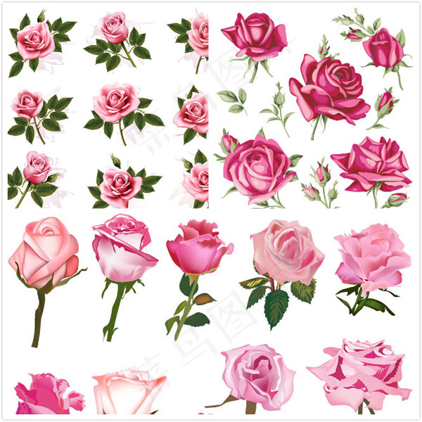 矢量玫瑰花矢量