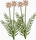 花朵鲜花_433eps,ai矢量模版下载