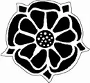 花朵鲜花_1152eps,ai矢量模版下载