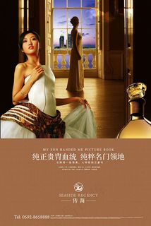 传海房地产海报4