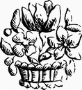 花朵鲜花_1083eps,ai矢量模版下载