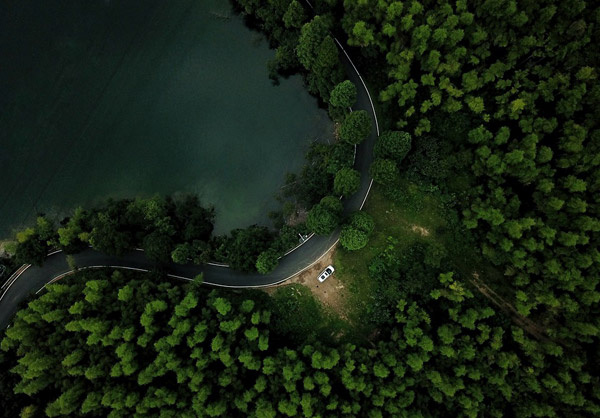 夜晚森林公路