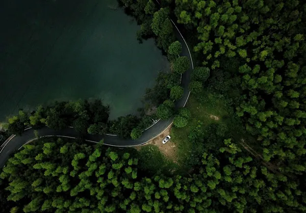 夜晚森林公路