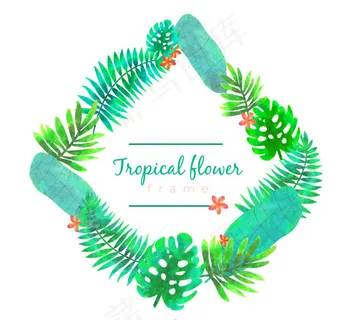 热带树叶菱形框架