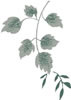 PSD精美花纹_154psd模版下载