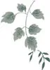 PSD精美花纹_154psd模版下载