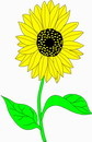 花朵鲜花_600eps,ai矢量模版下载