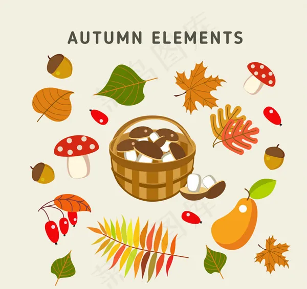 彩色秋季植物ai矢量模版下载