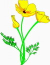 花朵鲜花_417eps,ai矢量模版下载