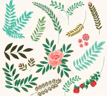 花卉植物设计 花卉植物设计