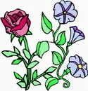 花朵鲜花_96eps,ai矢量模版下载