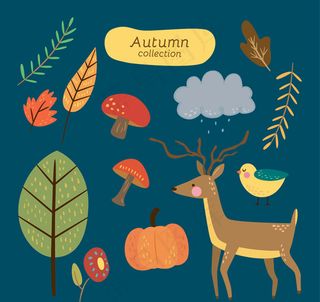 秋季动植物矢量,免抠元素