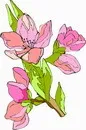 花朵鲜花_219eps,ai矢量模版下载