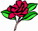 花朵鲜花_792eps,ai矢量模版下载
