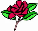 花朵鲜花_792eps,ai矢量模版下载