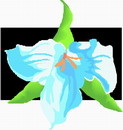 花朵鲜花_467eps,ai矢量模版下载