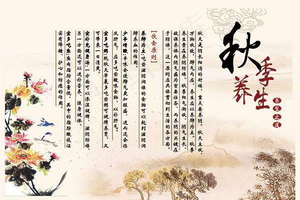 养生之道秋季养生(5669X3779(DPI:72))psd模版下载