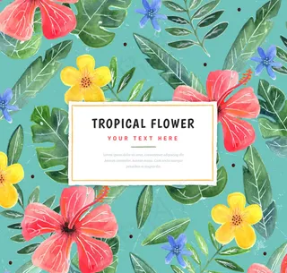 热带花卉无缝背景