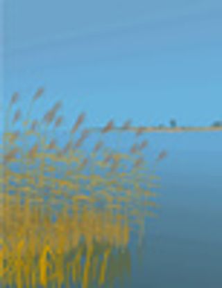 矢量风景背景_216,背景元素