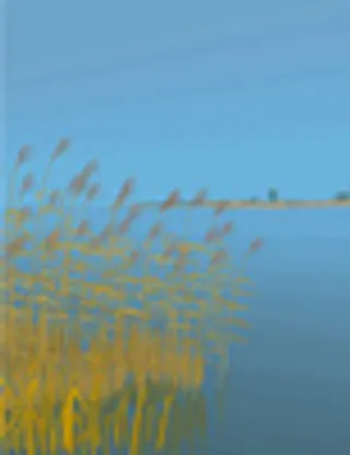 矢量风景背景_216,背景元素