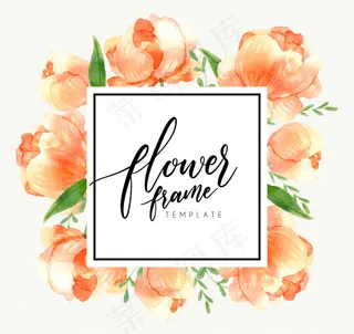 粉色蔷薇花框架