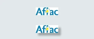 美国家庭人寿保险