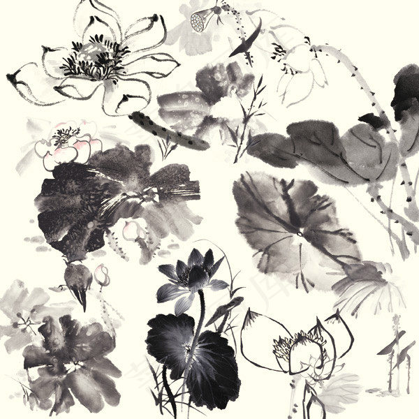 中国风水墨荷花