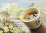 清香菊花茶广告psd模版下载