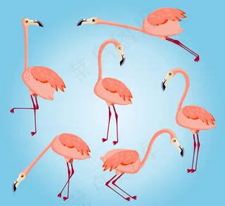 6款粉色火烈鸟
