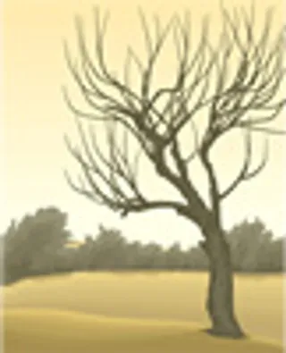 矢量风景背景_247,背景元素