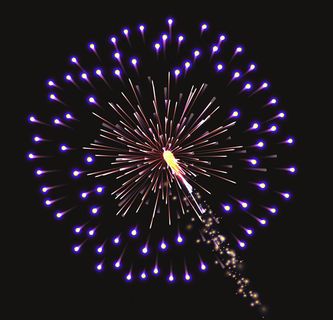 紫色花朵烟花光效