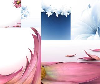 花卉植物与花瓣,免抠元素