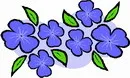 花朵鲜花_596eps,ai矢量模版下载
