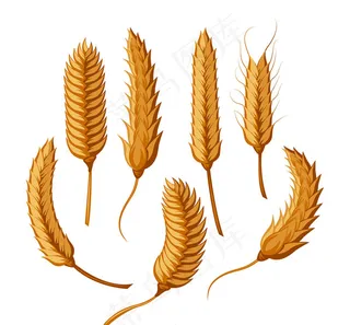 创意麦穗设计