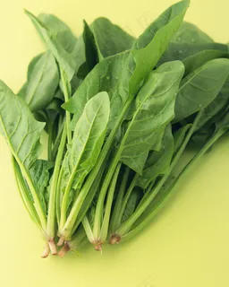 菠菜 菠菜