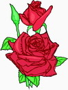 花朵鲜花_515eps,ai矢量模版下载