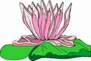 花朵鲜花_398eps,ai矢量模版下载
