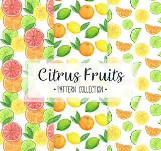 柑橘类水果无缝背景