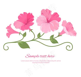 粉色牵牛花植物,免抠元素