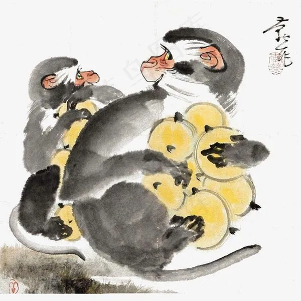 抱枇杷的猴子