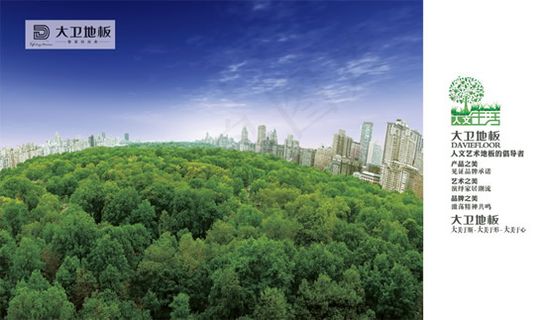 大卫木地板画册4