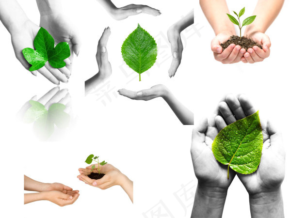 呵护大自然主题