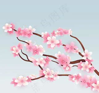 怒放樱花枝矢量