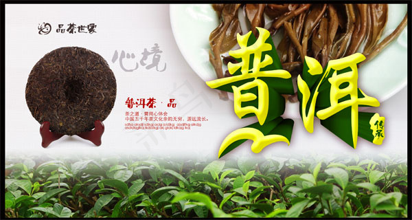 普洱茶广告海报(3543X3543(DPI:300))psd模版下载