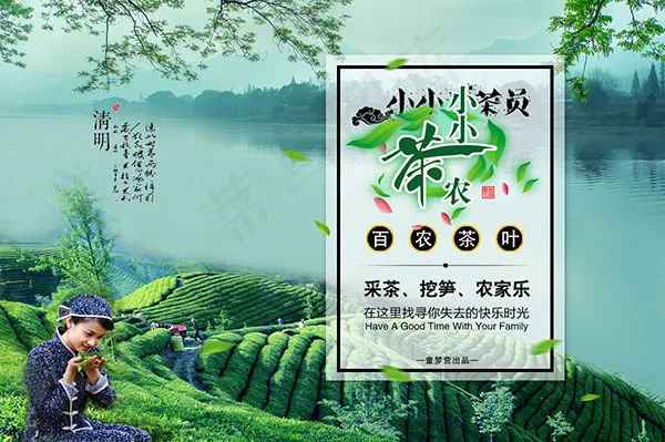 清明节茶叶海报psd模版下载