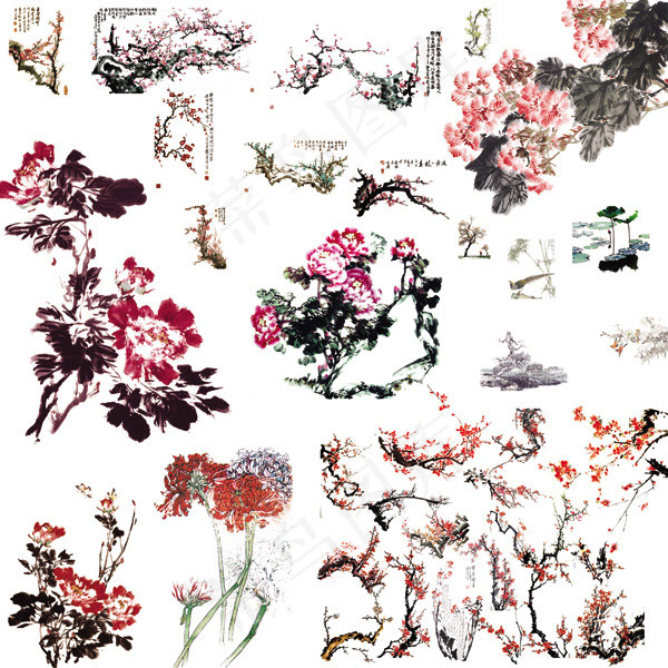 中国风水墨花朵