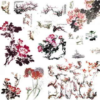 中国风水墨花朵