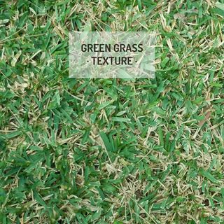 竹叶背景矢量图