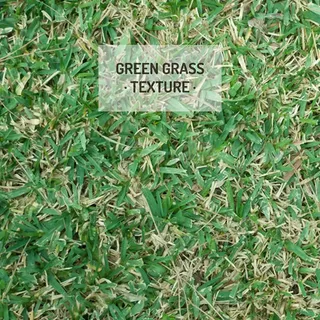 竹叶背景矢量图