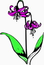花朵鲜花_750eps,ai矢量模版下载